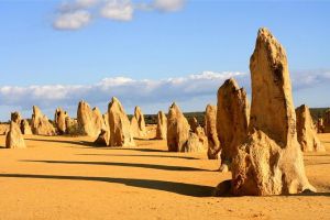 Pinnacles and Yanchep National Park Day Trip from Perth Including Lobster Shack Lunch and Sandboarding - Holiday Find